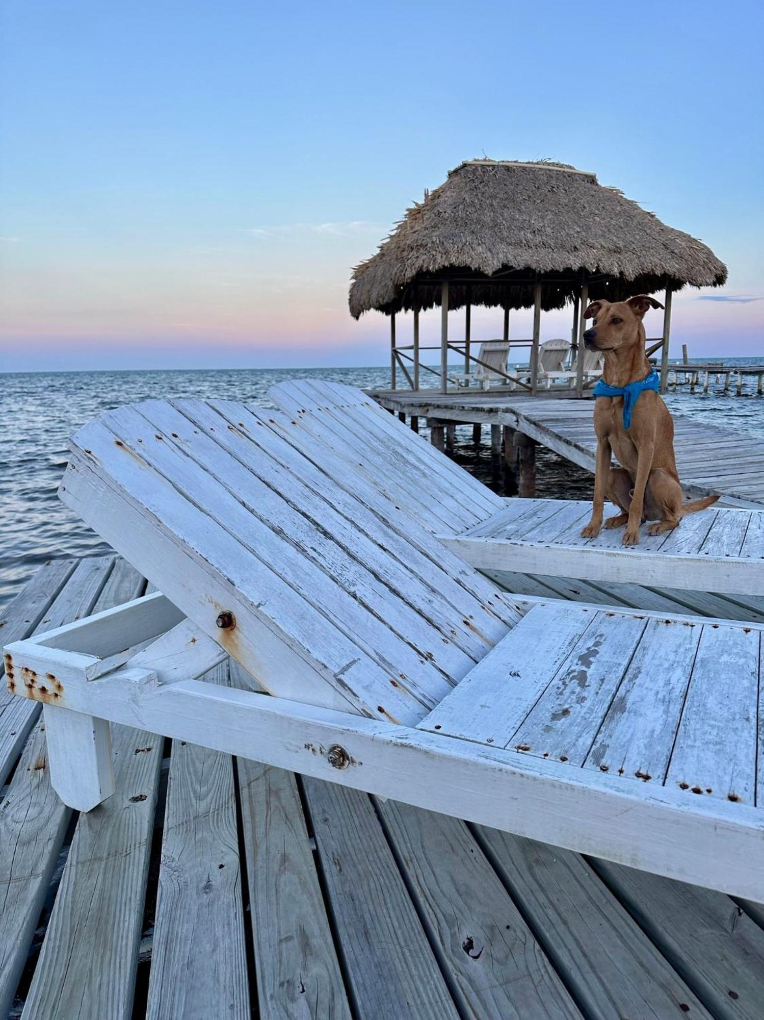 Barefoot Beach Belize Cayo Caulker Exterior foto